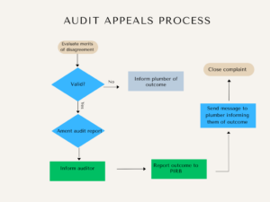 Appeal Audit - PIRB